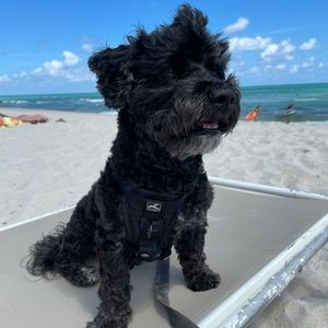 Meet your Posher, Andrew